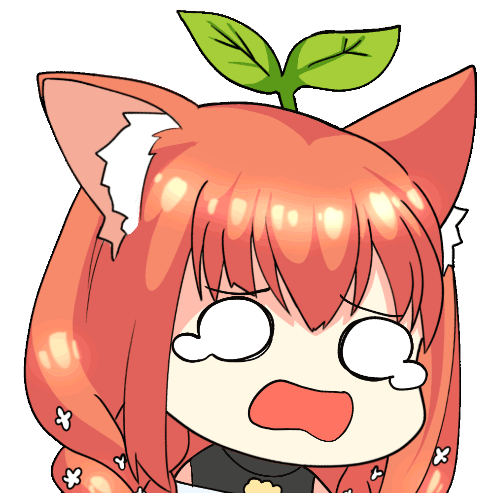 Bonk