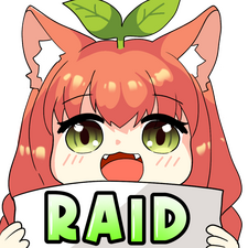 Raid