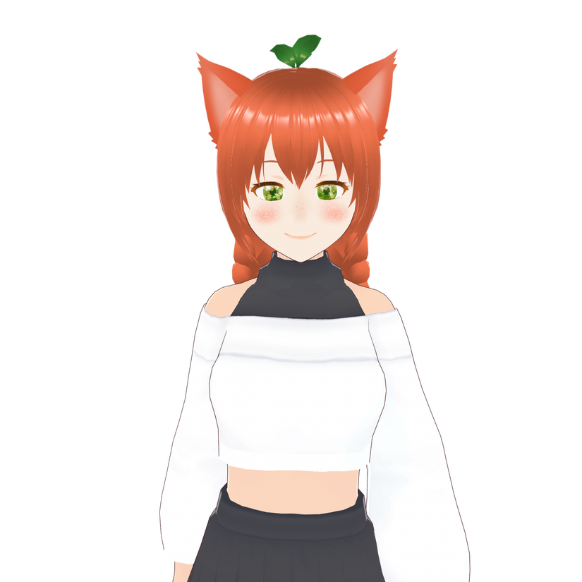 Selfmade 3D model Used: Jun 22 - Jan 23